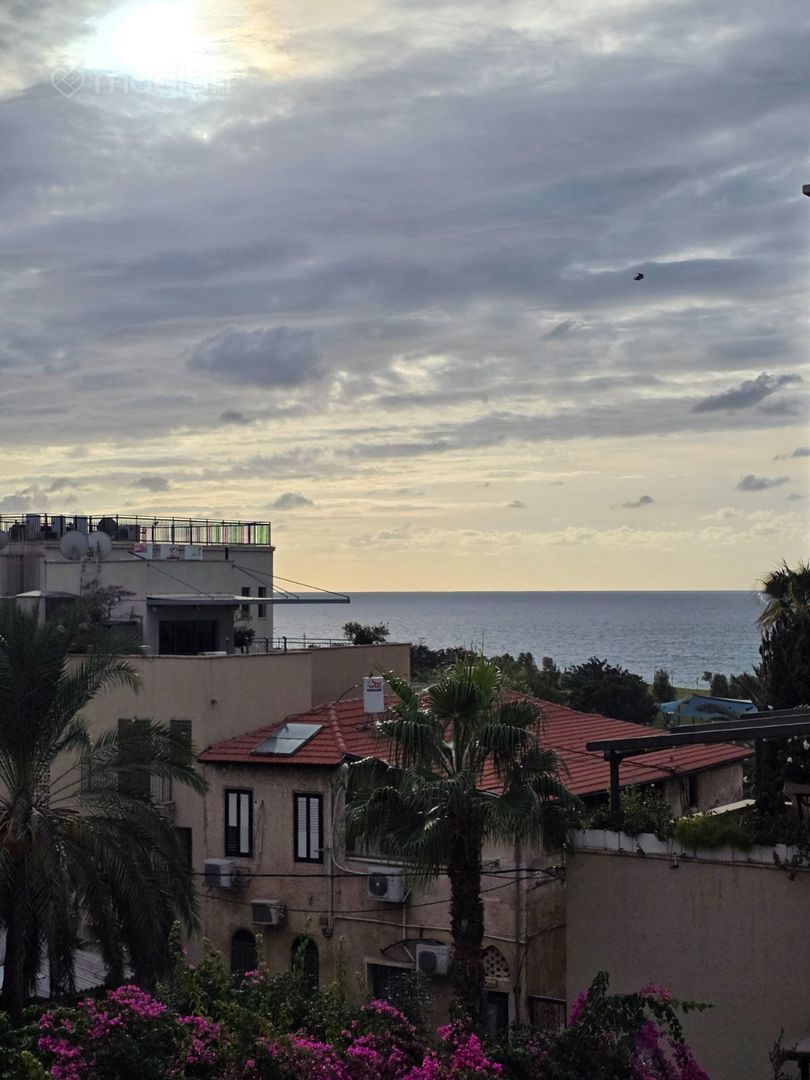 הספינה 3, עג'מי